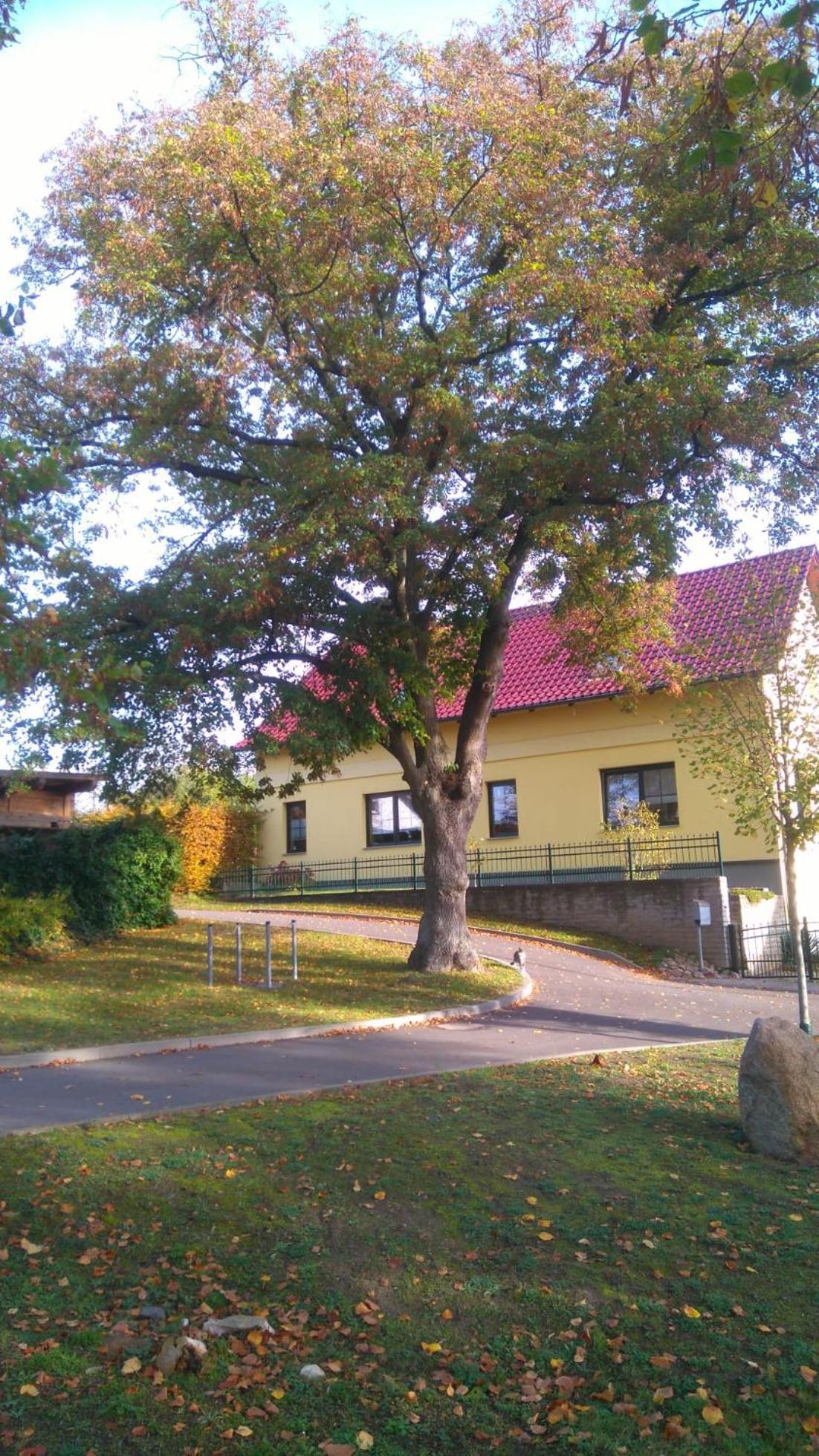 Ferienwohnung Perlitz Petersdorf  المظهر الخارجي الصورة